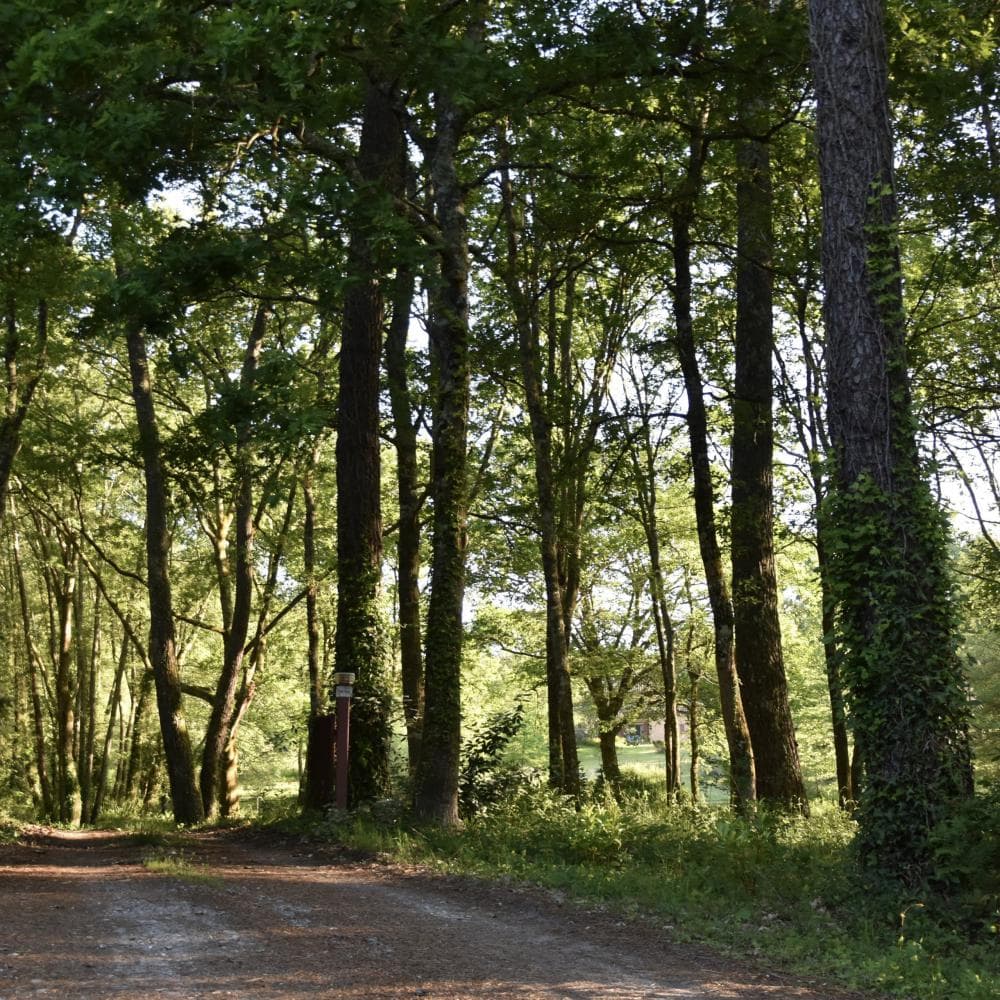 Domaine du Petit Pontbiel